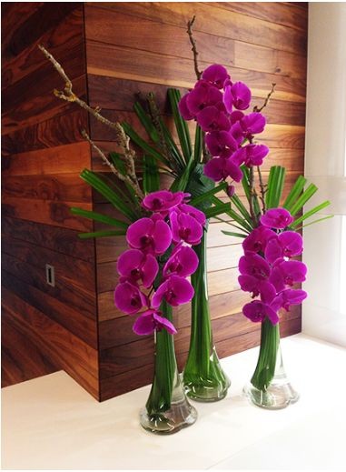 Orchid Chic Trio