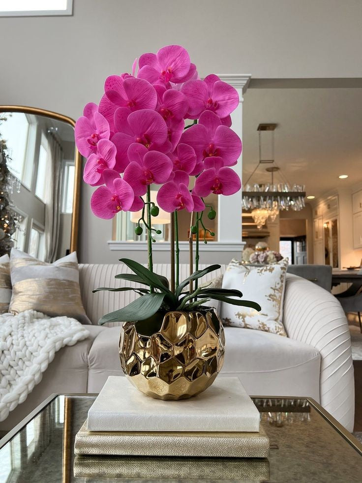 Royal Orchid Glow
