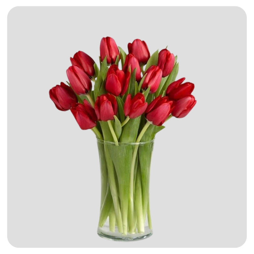 Flower Vase