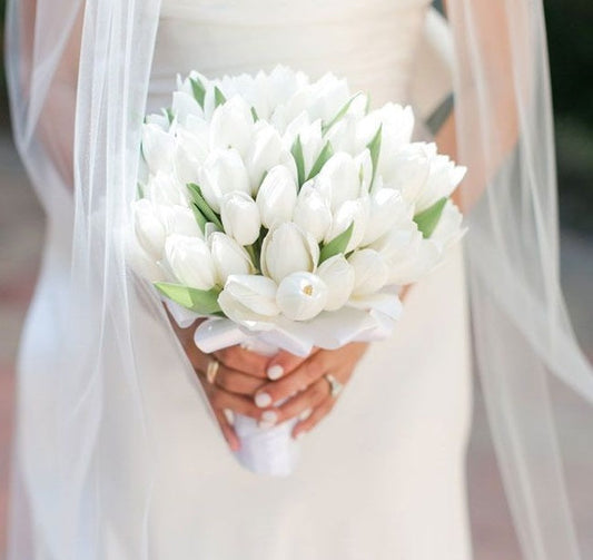 Snowy Tulip Bliss