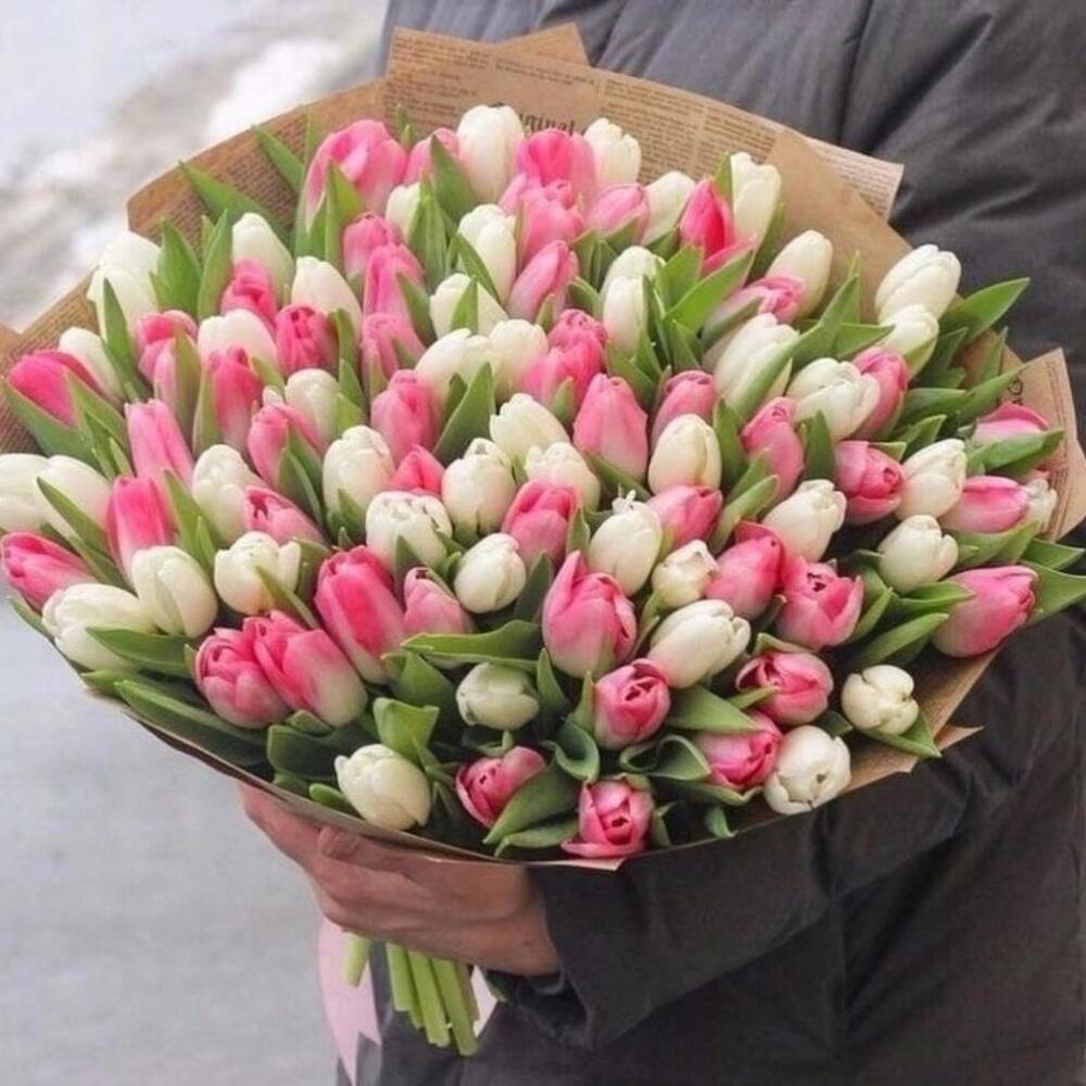 Tulip Dreamscape