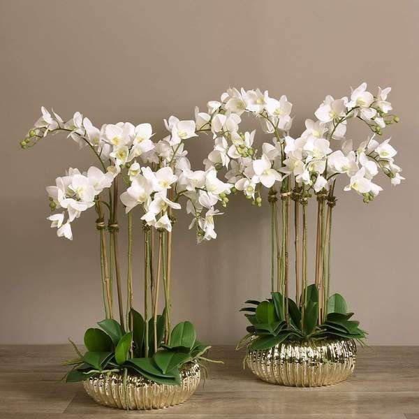 White Whisper Symphony