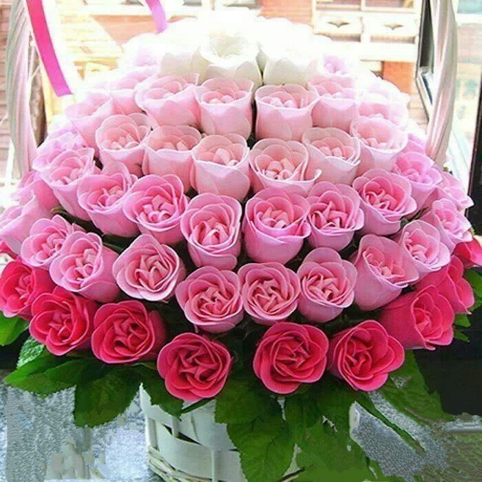 Blush Rose Symphony