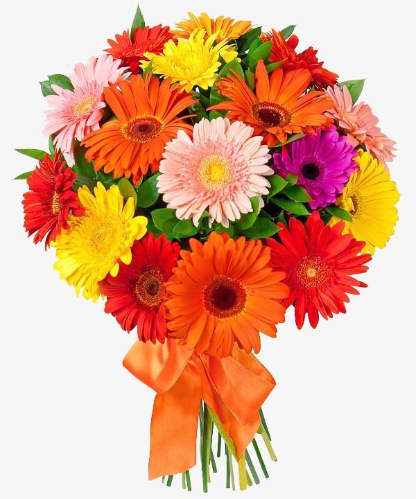 Vibrant Daisy Bliss
