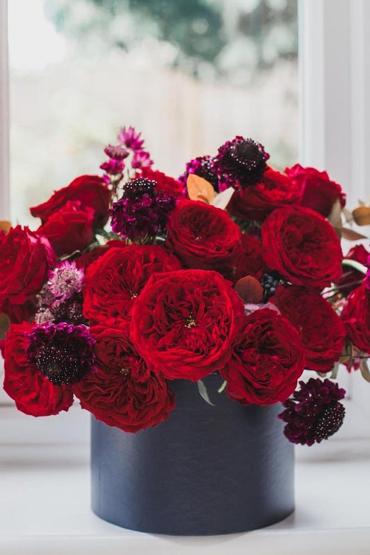 Velvet Crimson Touch