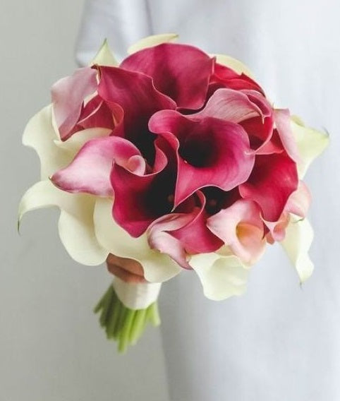 Blushing Calla Harmony