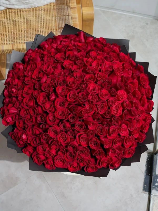 Crimson Overdose